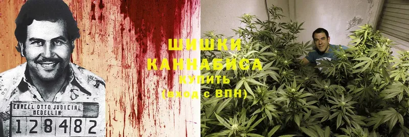 Бошки марихуана Ganja  наркошоп  Богданович 